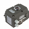 082X4563R Затвор Ридан PN16 DN300 чугун/EPDM/ЭП24В